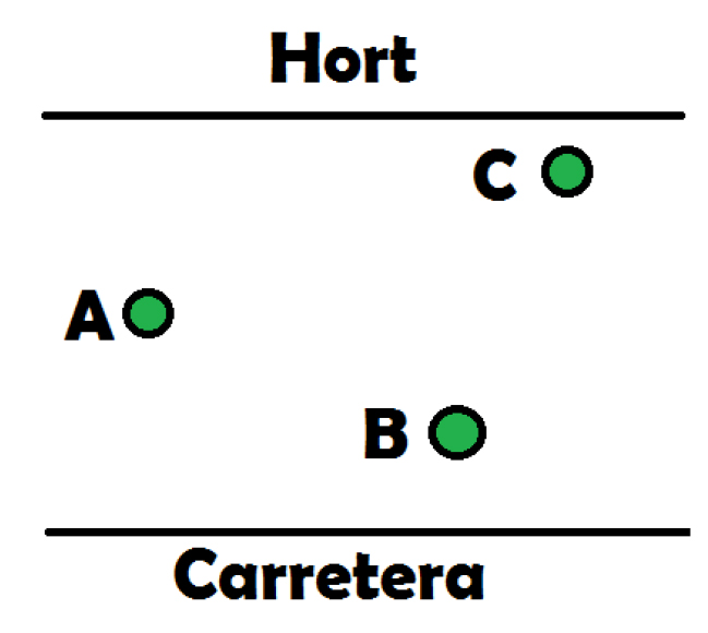 18_Fitxa Platanus hispanica Jardí Sanchis Guarner-1